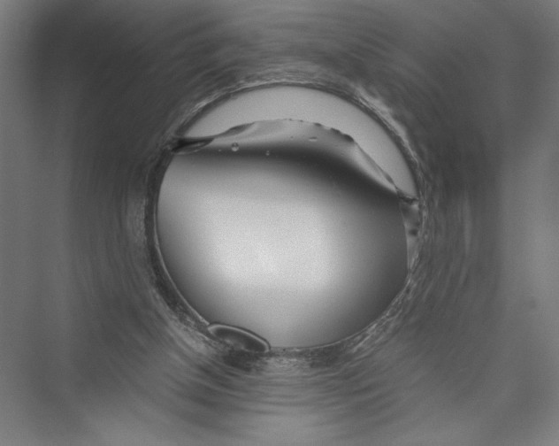 X0000075410154200610062006