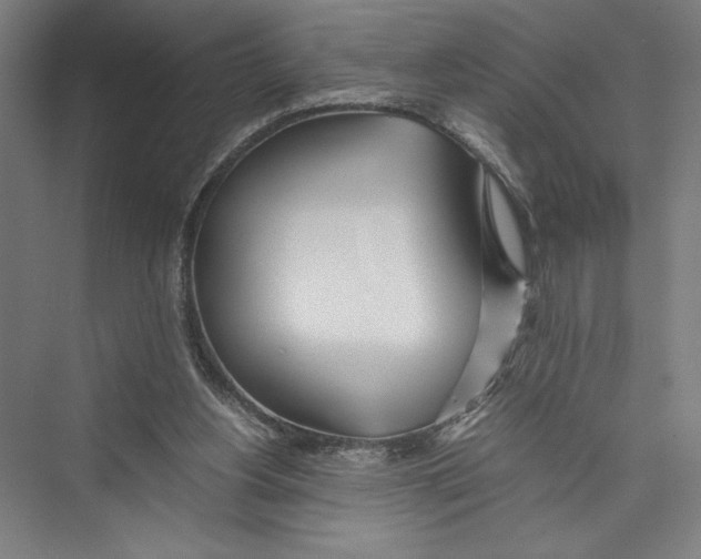 X0000075410156200610062006