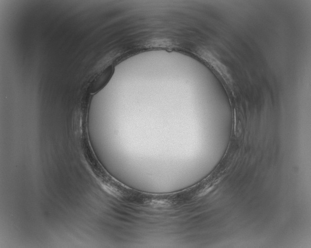 X0000075410157200610062006