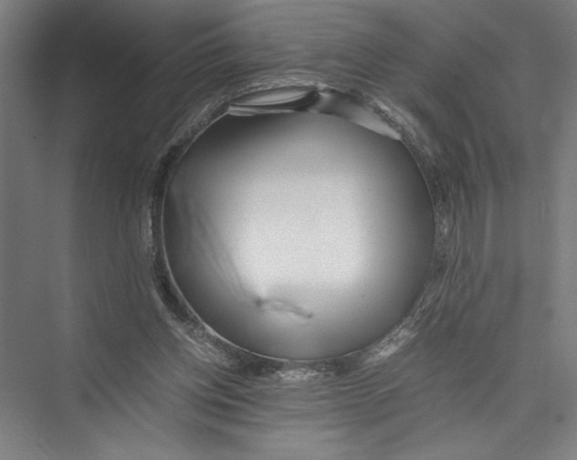 X0000075410158200610062006