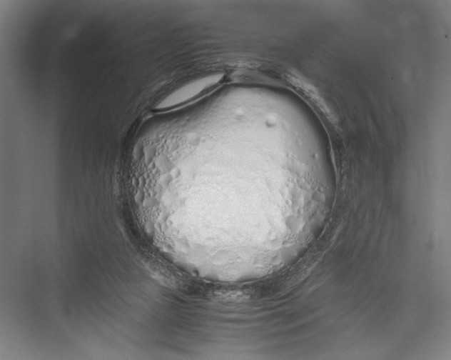 X0000075410161200610062006