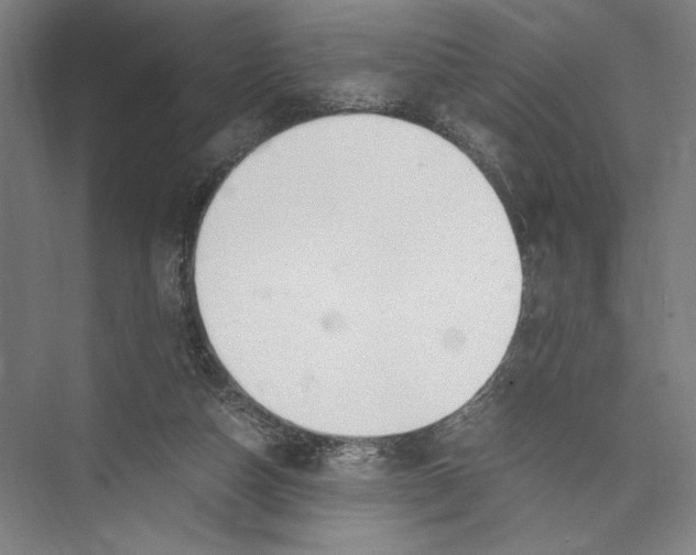 X0000075410162200610062006