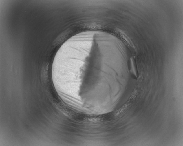 X0000075410163200610062006