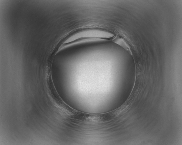 X0000075410164200610062006