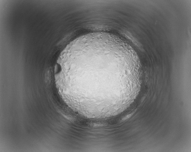 X0000075410165200610062006