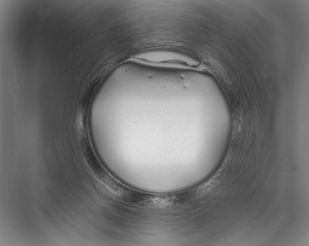 X0000075410166200610062007