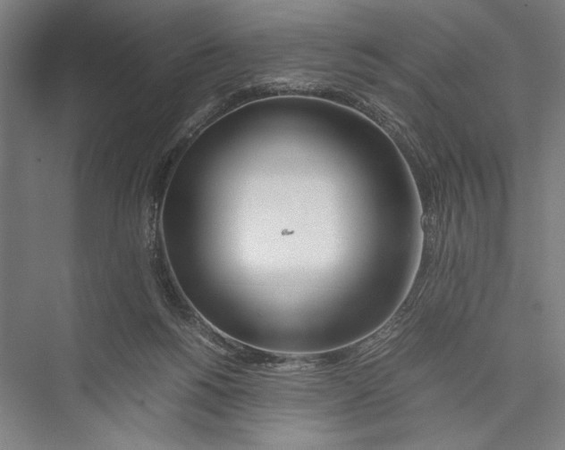 X0000075410168200610062007