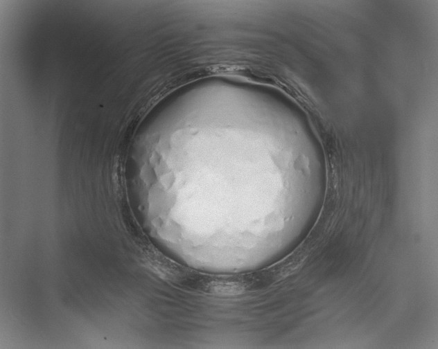 X0000075410169200610062007