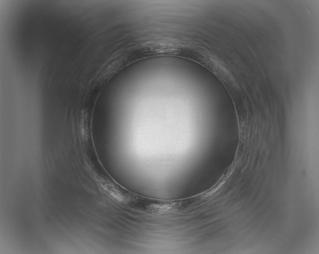 X0000075410170200610062007