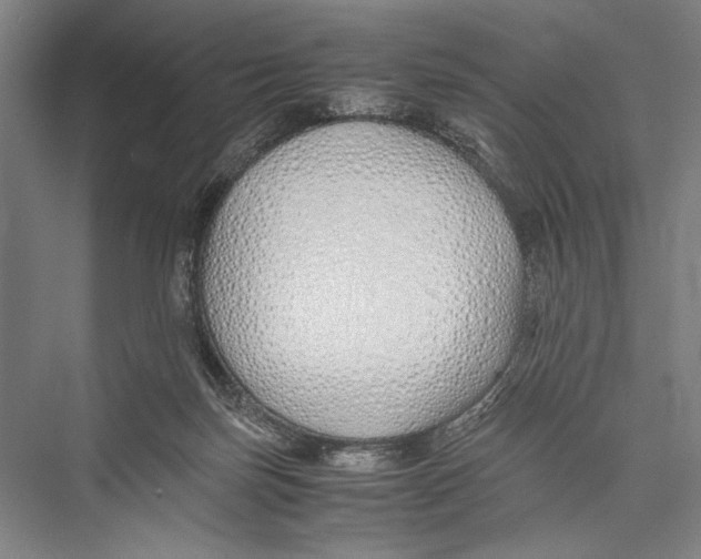 X0000075410171200610062007