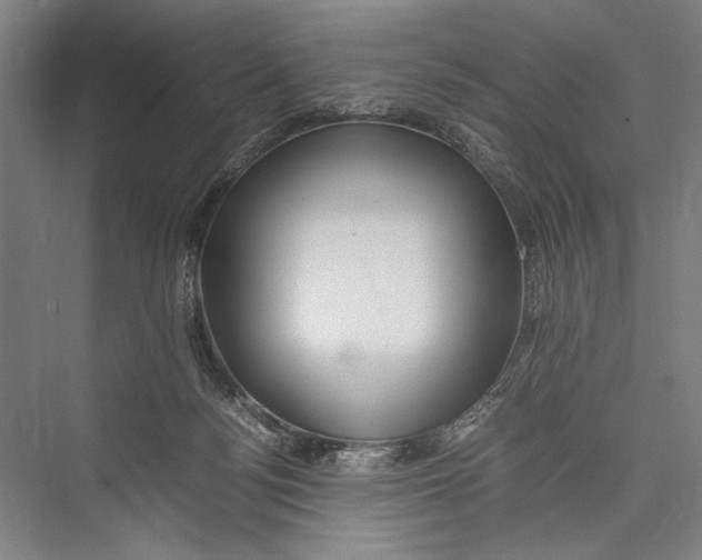 X0000075410172200610062007