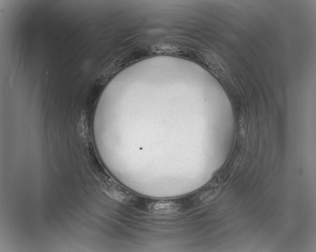 X0000075410173200610062007