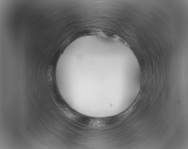 X0000075410174200610062007