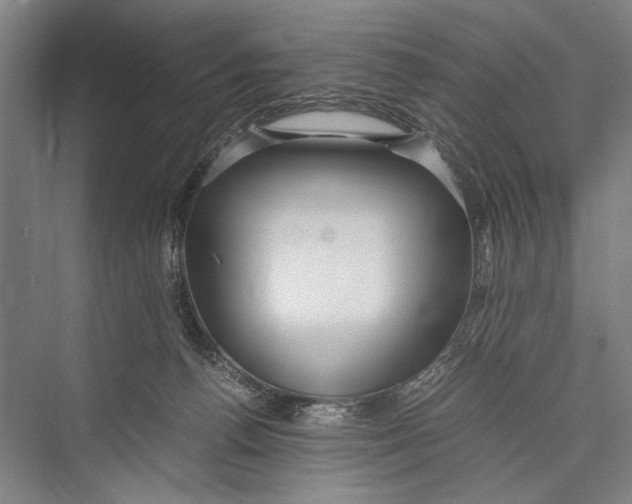 X0000075410176200610062007