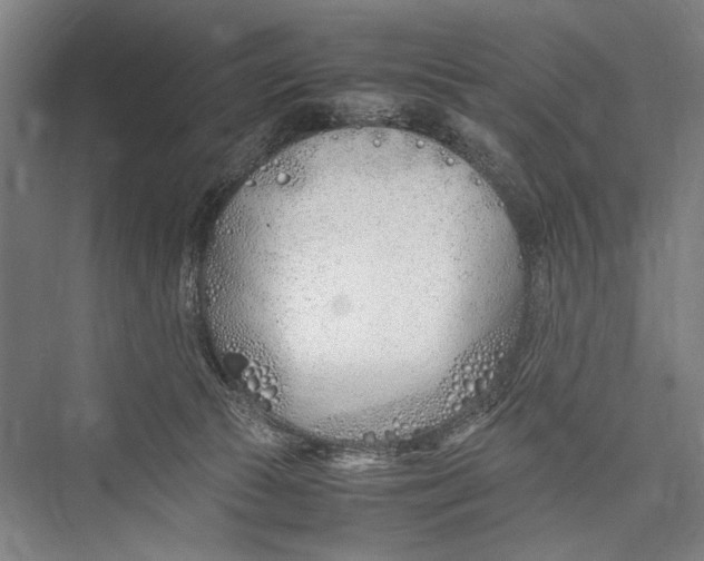 X0000075410177200610062007