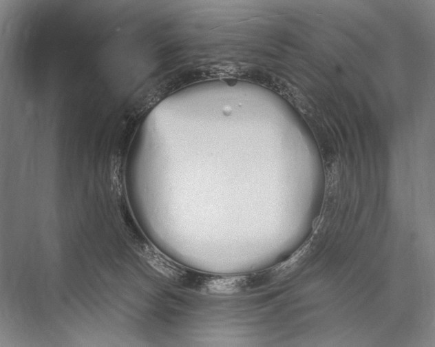 X0000075410178200610062007