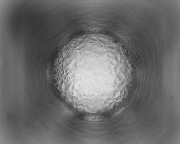 X0000075410181200610062007