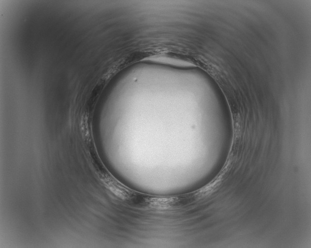 X0000075410182200610062007