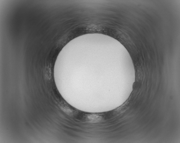 X0000075410183200610062007