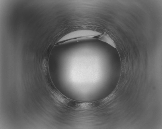 X0000075410184200610062007