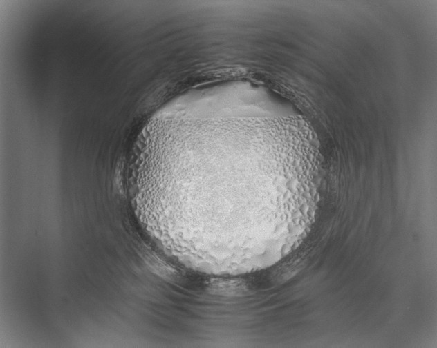 X0000075410185200610062007