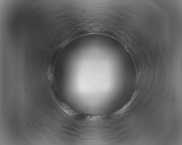 X0000075410186200610062007