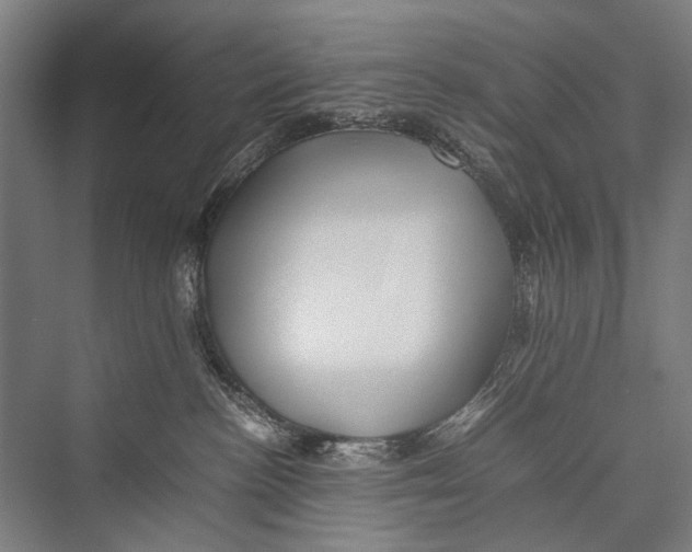 X0000075410188200610062007