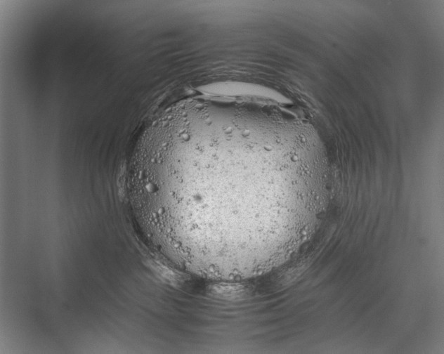 X0000075410189200610062007