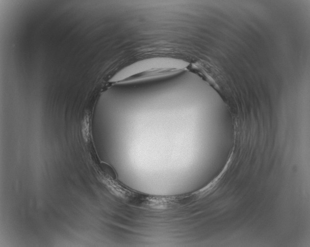 X0000075410190200610062007