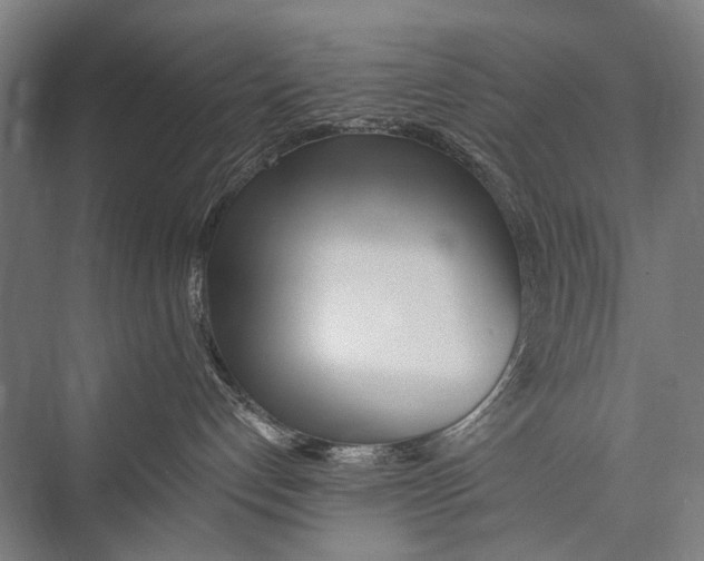 X0000075410192200610062007