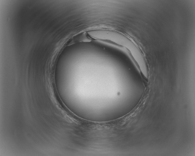 X0000075410193200610062006