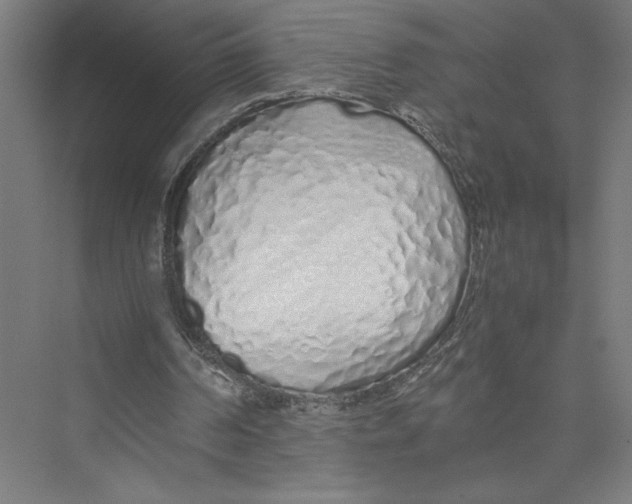 X0000075410194200610062006