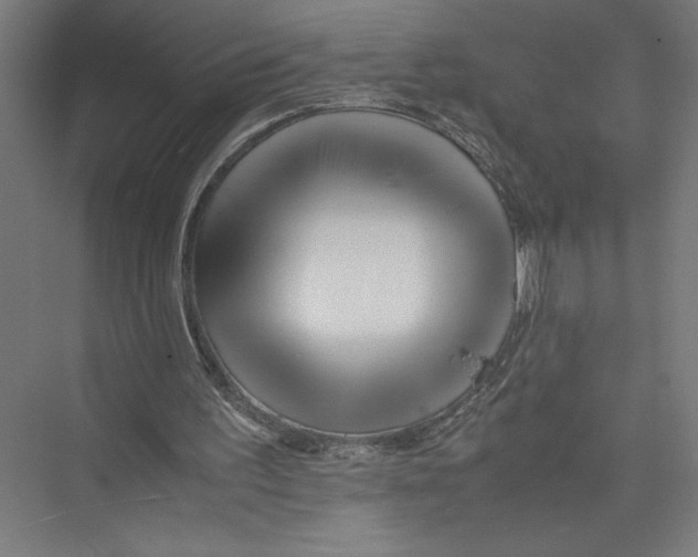 X0000075410195200610062006