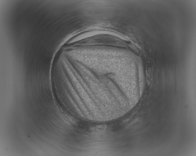 X0000075410196200610062006