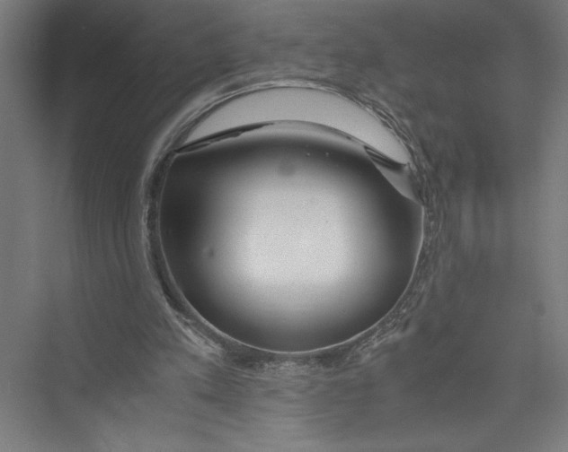 X0000075410197200610062006