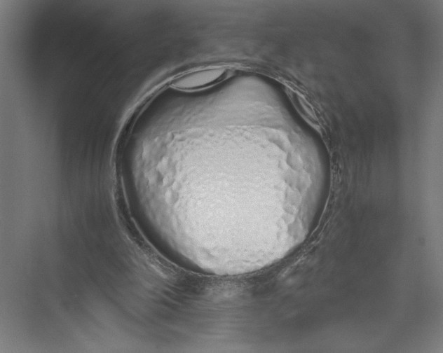 X0000075410198200610062006