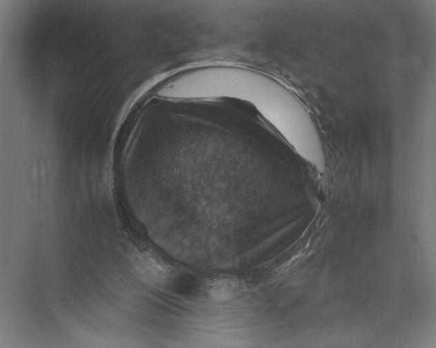 X0000075410200200610062006