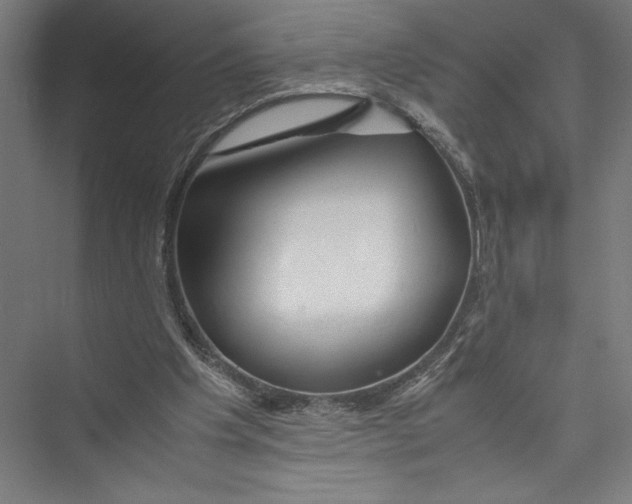 X0000075410201200610062006