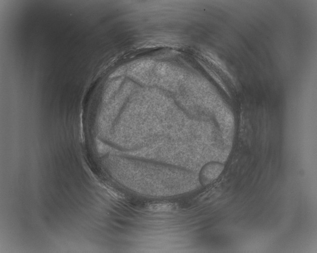 X0000075410202200610062006