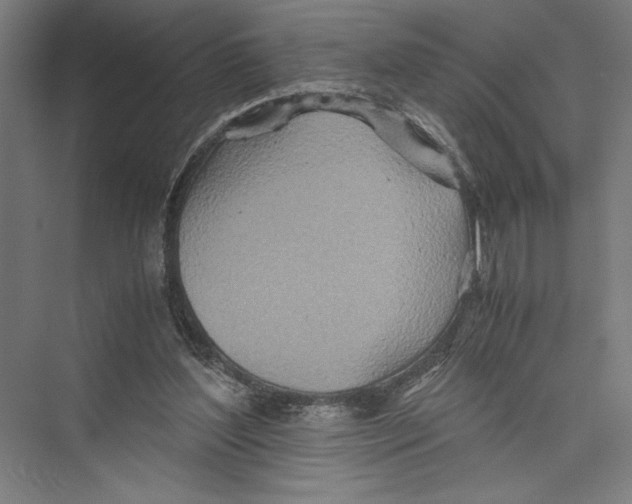 X0000075410204200610062006