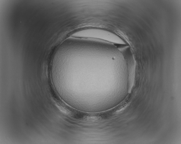 X0000075410205200610062006