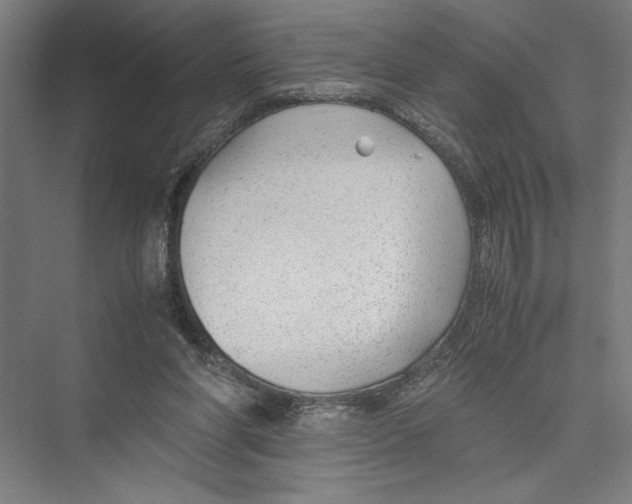 X0000075410206200610062006