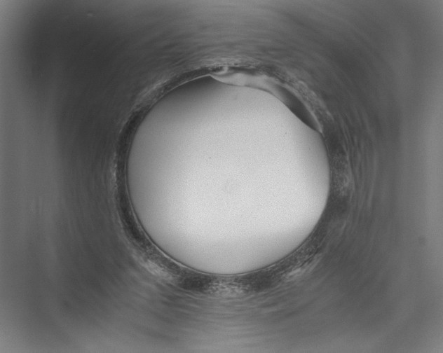 X0000075410207200610062006