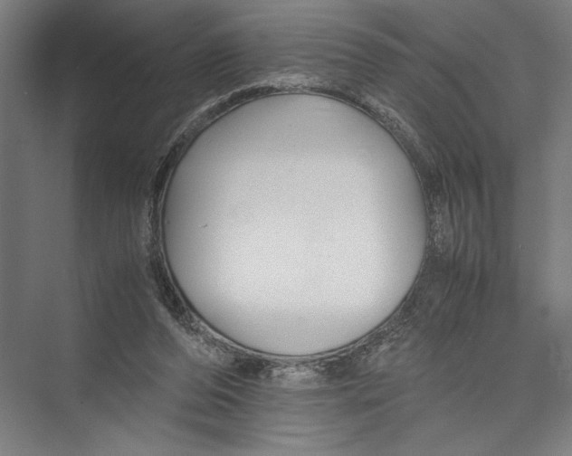 X0000075410208200610062006