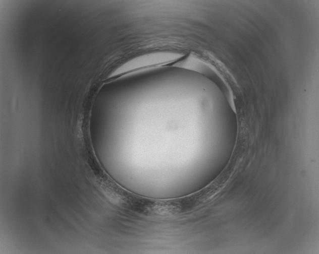 X0000075410209200610062006