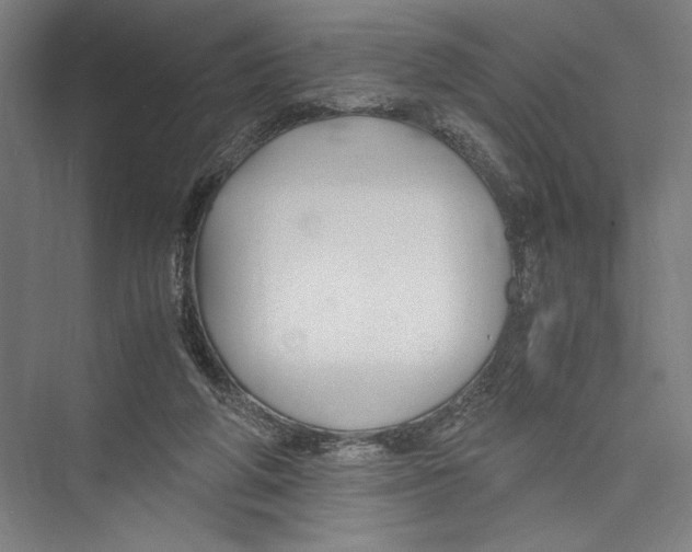 X0000075410210200610062006