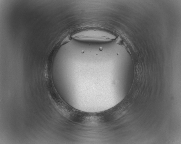 X0000075410212200610062006