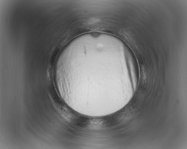 X0000075410214200610062006