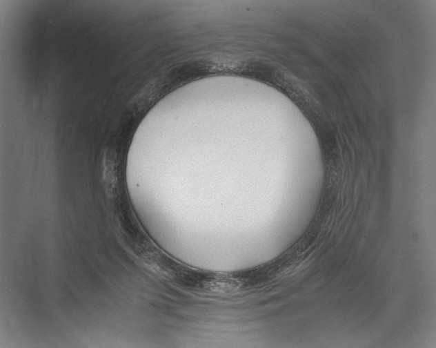 X0000075410215200610062006