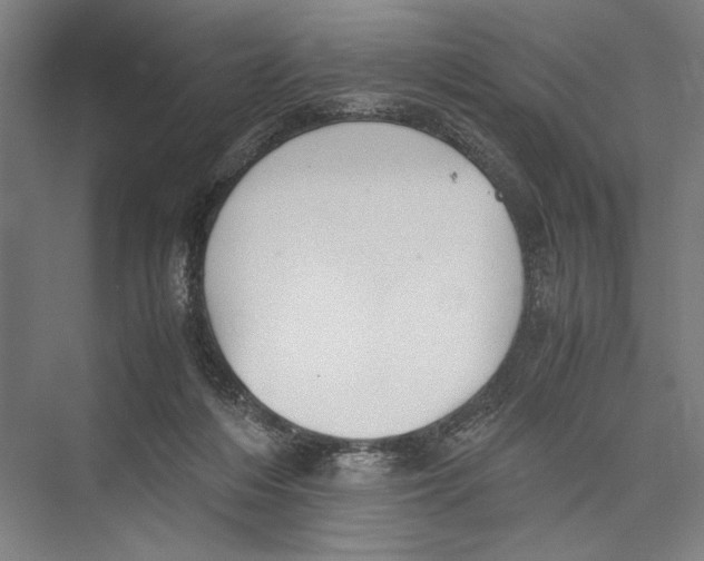 X0000075410216200610062006